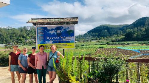 Haputale Apartment | Ceylon shadow