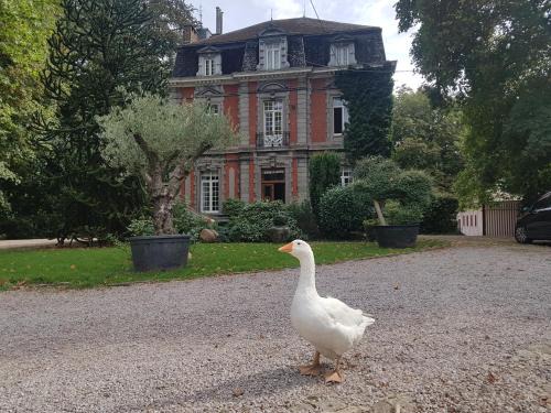 Belhez Hotel | Château Lambert Moulinsart Hotel, shuttle airport, long term parking, snooker, large terrasse, dinner, breakfast