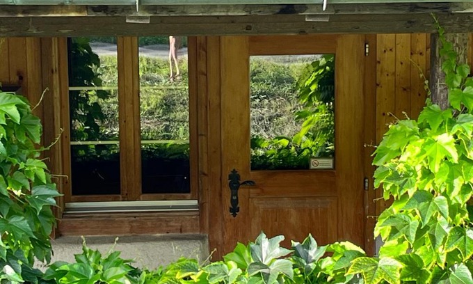 Wiler Ski Chalet | Chalet ALPEN LOTUS