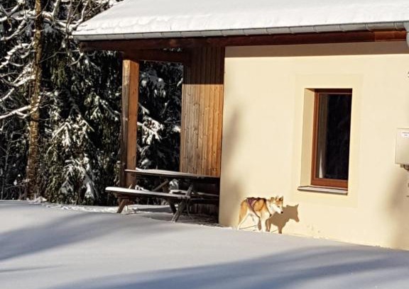 Chapelle-des-Bois House | Chalet Beaujon Chapelle-des-Bois