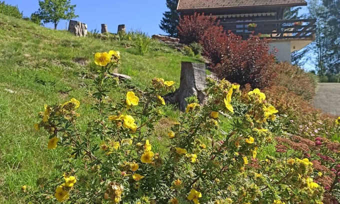 Vaux-et-Chantegrue Ski Chalet | Chalet de la Morille - 3★ comfort, 30 m² terrace, mountain & nature view