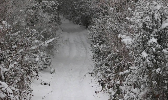 Cunlhat Ski Chalet | Chalet 'Gite Du P'tit Fermier' with Mountain View, Shared Pool and Wi-Fi