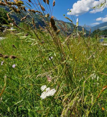 Ramsau im Zillertal House | Chalet Johanna