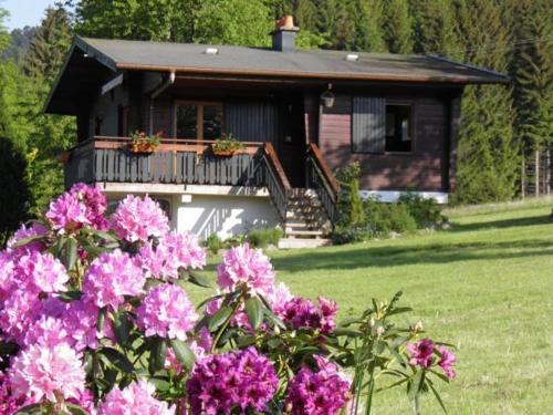 Le Grand Valtin House | Chalet rénové proche du Valtin – Idéal pour famille, randonnées et ski, Wifi, luges fournies - FR-1-589-150