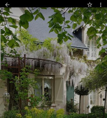 Saint-Gervais-la-Foret Bed & Breakfast | Chambres d'hôtes Jardin D'ivoire