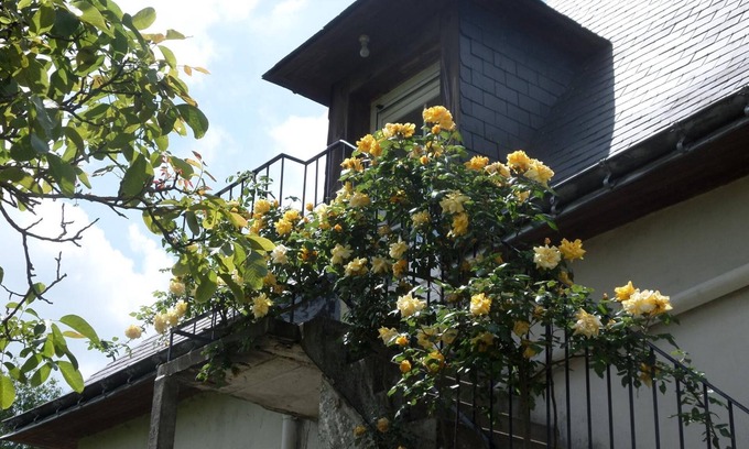 Thorigne-d'Anjou House | Chambres d'Hotes Du Haut Anjou