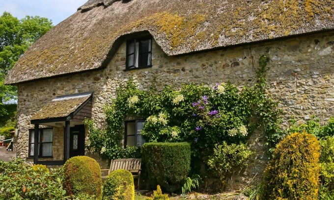 Axminster Cottage | Character 3 bed thatched cottage within the Blackdown Hills and near the Jurassic Coast, takes 4 dog