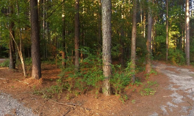 York House | Charlotte : Carolina country oasis, 6 acres of serenity near Lake Wylie SC..