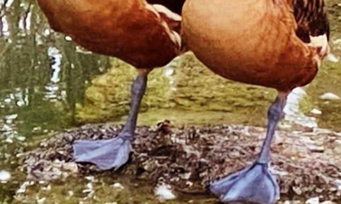 Olho Marinho House | Charm nature surf Azenha Farm suite V