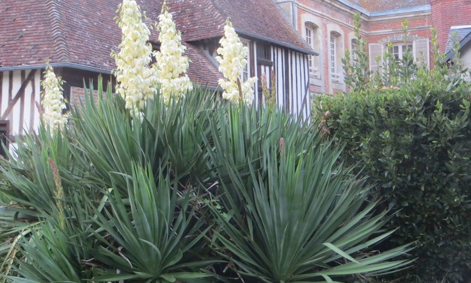 Livarot House | Charm, romanticism to recharge your batteries in the heart of the Pays d'Auge