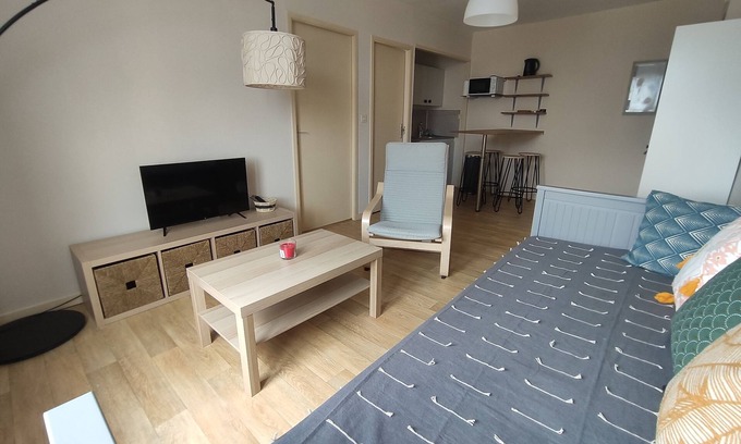 Saint-Aignan Apartment | Charmant Appartement à St Aignan/Zoo de Beauval