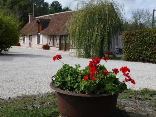Cour-Cheverny House | Charmant gîte pour 5 pers. près des Châteaux avec animaux admis - FR-1-491-345