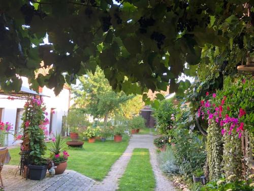 Pottelsdorf Apartment | Charmantes Cottage Appartement