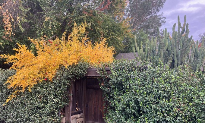 Ojai House | Charming 2 bedroom home with loft and guest house in serene downtown Ojai