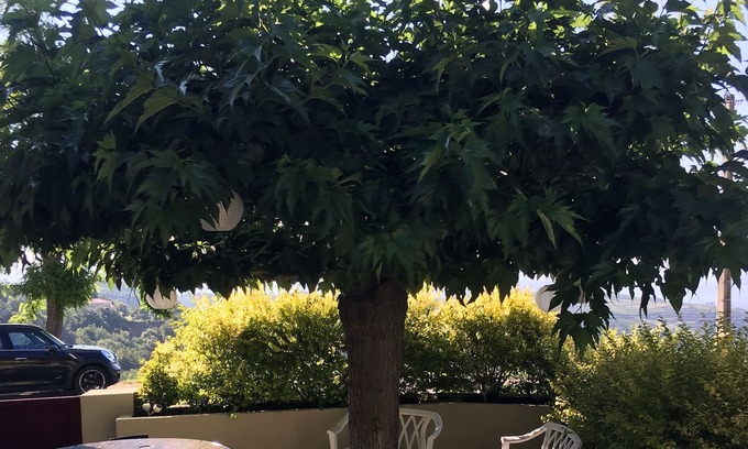 Rutali House | Charming apartment with view of st florent