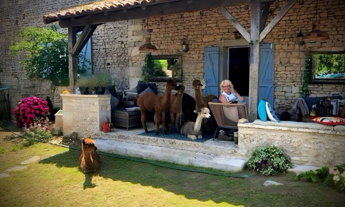 Limalonges Bed & Breakfast | Charming bed & breakfast on an Alpaca Farm in the historic Limalonges Village