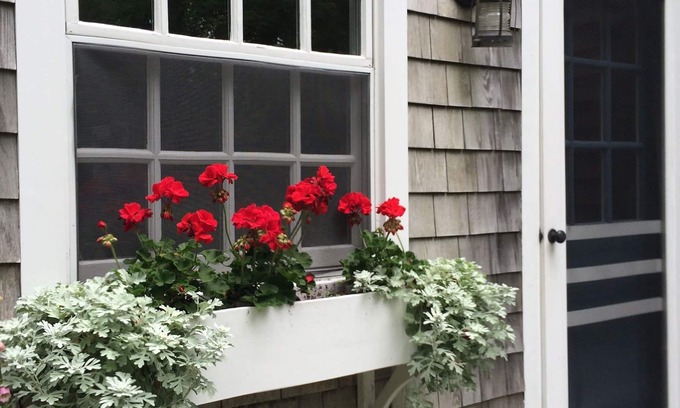 Nantucket Town House | Charming Cottage on Lily Pond in Center of Town