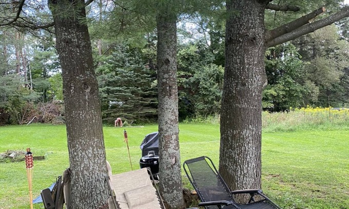 Rangeley House | Charming home quick walk to beach and shops. 8 minutes from Saddleback