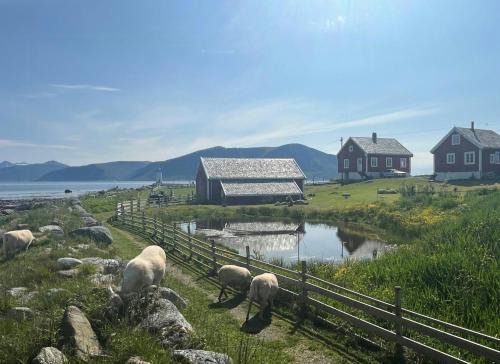 Godøy House | Charming House In An Old Barn By The Lighthouse