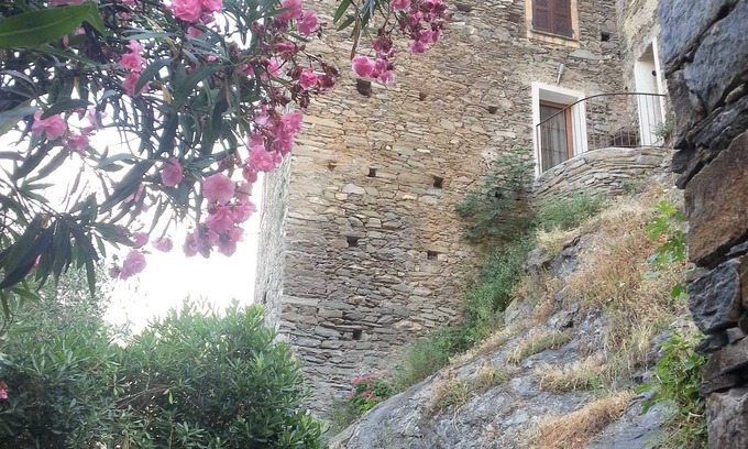 Casamozza House | CHARMING HOUSE IN TYPICAL VILLAGE OF HAUTE CORSE
