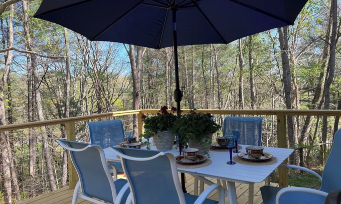 Asheville Cottage | Charming Renovated 3/2-Cottage with Hot Tub, Firepit and Fireplace.