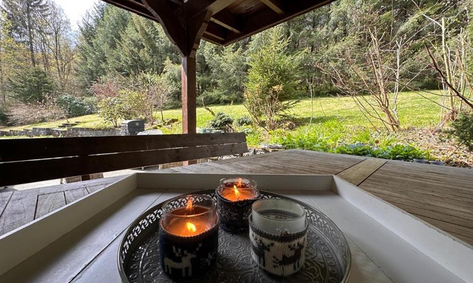 Brilon-Wald Villa | Charming Villa On The Forest In Wald 12 guests Hugh garden WILLINGEN SAUERLAND