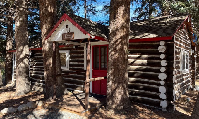 Almont Cabin | Charming "Vintage" Style Mountain Cabin Under the Pines