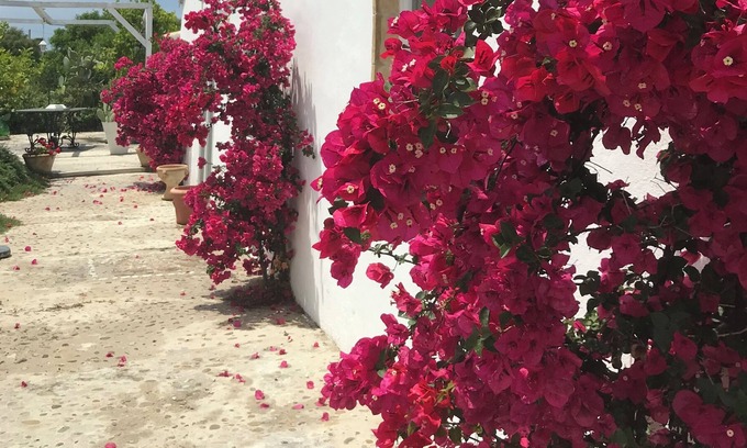 Pisticci House | Charming white washed southern italian farmhouse. Sleep 8- 4 bathrooms