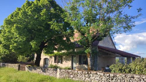 Couzou House | Chez Hélène
