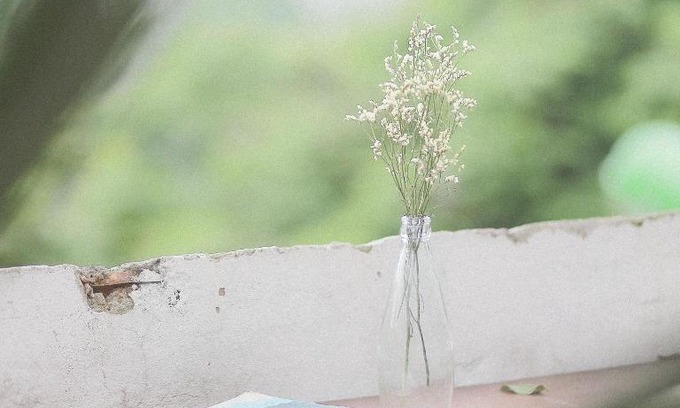 Hang Trong House | Chi Viên Home-căn hộ bình yên ngay cạnh Nhà Thờ lớn