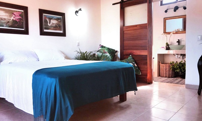 Lo de Marcos Hotel | Chic room in plant filled boutique hotel near beach and plaza in Lo de Marcos