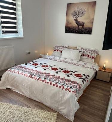 Alba Iulia Apartment | Chic Urban Retreat