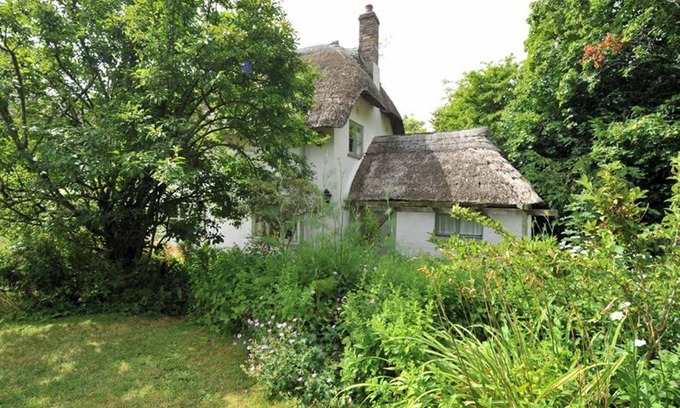 Whitchurch Canonicorum Cottage | Church Cottage