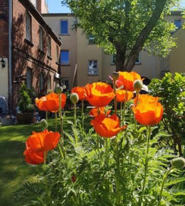 Cottbus Apartment | City Appartement mit Garten, zentral und trotzdem ruhig