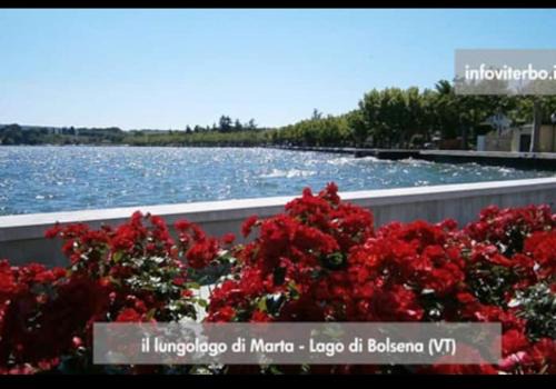 Marta Apartment | Civico 10 - Appartamento sul Lago