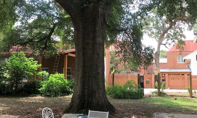 Summerville House | Clean-Serene-Green, Best Location-Central-Historic, Large, Comfy, Accommodating