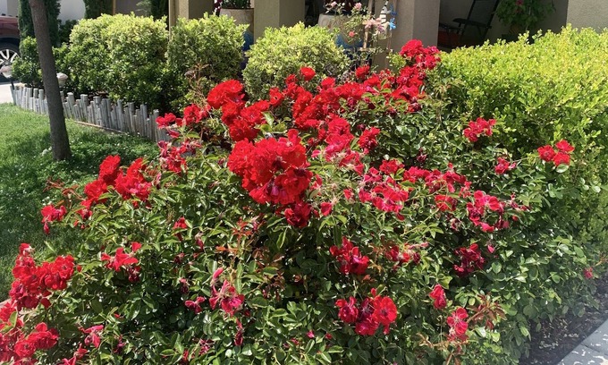 El Dorado Hills House | Close for all the winter recreation~skiing, snowmobiling, hiking, archery