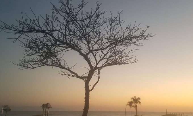 Flamingos Condo | Closest to the Beach