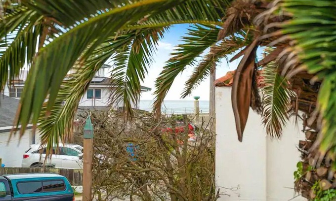 Sharp Park Apartment | Coastal Palm Tree 2BR Retreat Ocean View