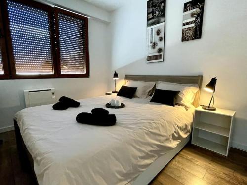 Albertville Apartment | coccon center