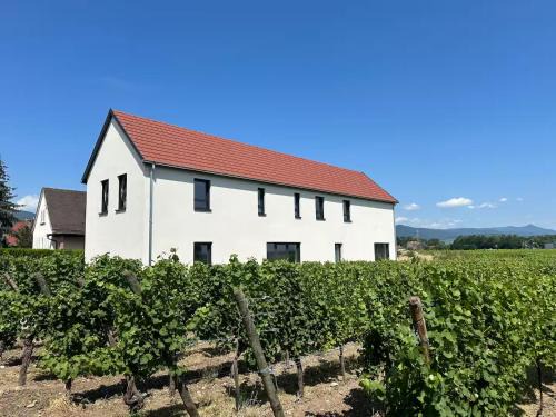 Ingersheim House | COLMAR and C0