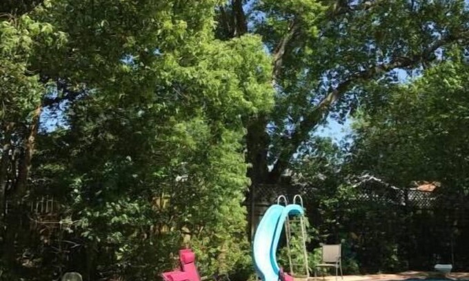 Roseland Terrace Historic District House | Colorful 2BR/1B close to LSU w/pool