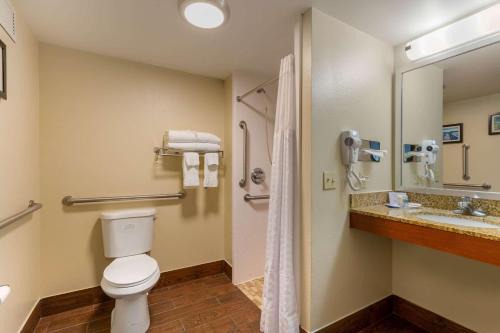 Milford Hotel | Comfort Inn & Suites Milford