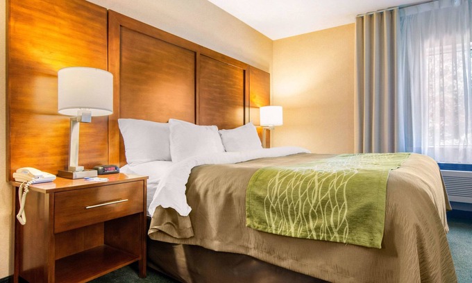 Mauricie Hotel | Comfort Inn & Suites Shawinigan