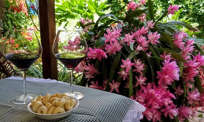 Porto Torres Apartment | COMFORTABLE APARTMENT WITH GARDEN, WI-FI NETFLIX IUN R8636