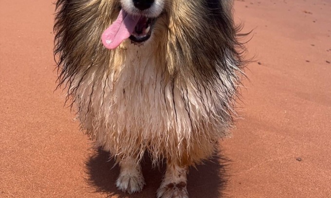 Prince County Cottage | Cora's ocean air Cottage