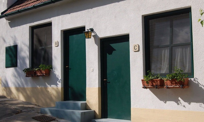 Morbisch am See Apartment | Cosy apartment for 3 guests with WIFI, TV and terrace