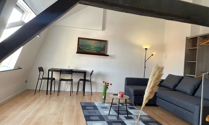 Roubaix Apartment | Cosy apartment at the foot of the metro and downtown
