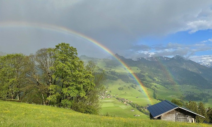 Zweisimmen Apartment | Cosy apartment for 3 people with WIFI, balcony and pets allowed