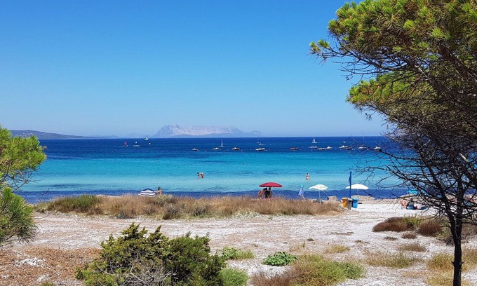 Schifoni Apartment | Cosy apartment for 6 guests with A/C, WIFI, TV, patio and pets allowed
